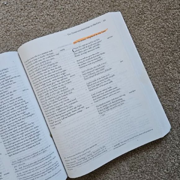 The Broadview Anthology of British Literature: Volume 2 - The Renaissance - Picture 9 of 10